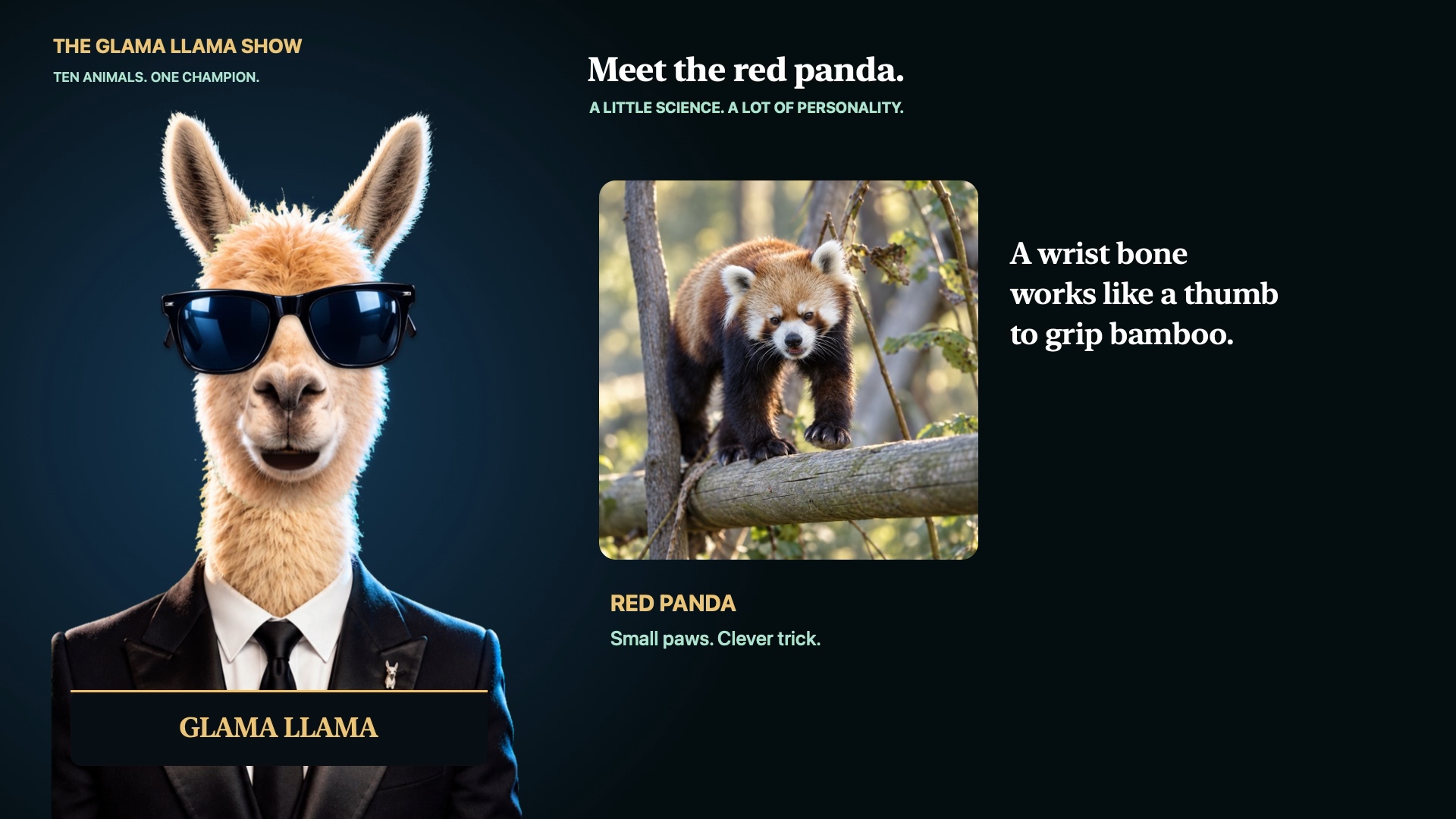 Glama beside a red panda and its bamboo-gripping trivia